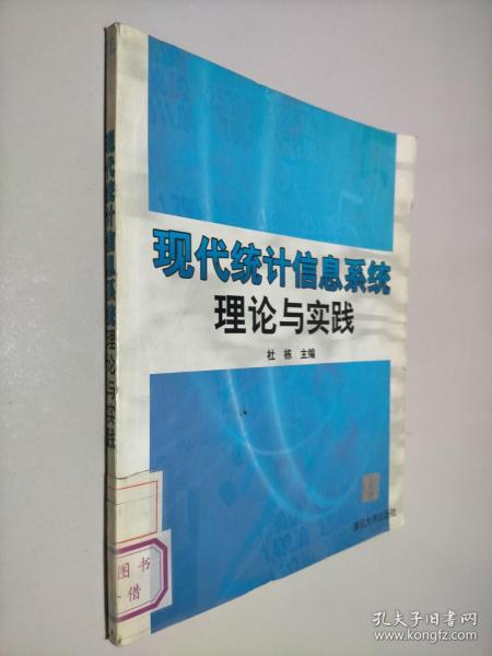 现代统计信息系统理论与实践