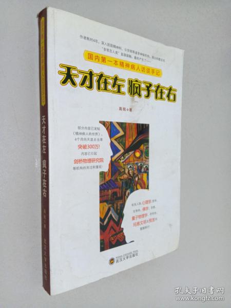 天才在左 疯子在右：国内第一本精神病人访谈手记