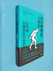 极简人类史：从宇宙大爆炸到21世纪（修订珍藏版）