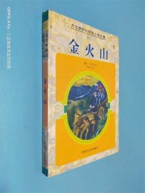 凡尔纳科幻探险小说全集:金火山