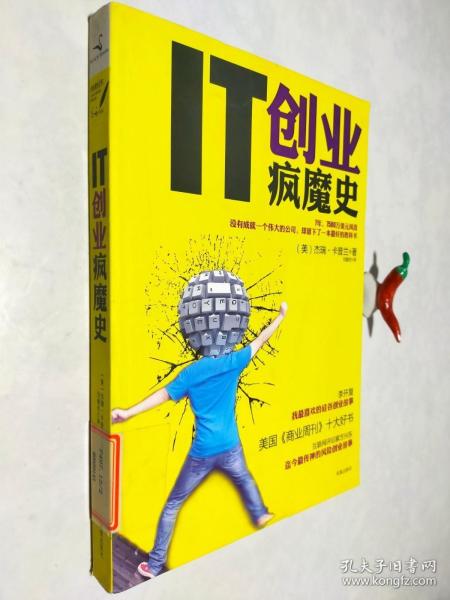 IT创业疯魔史