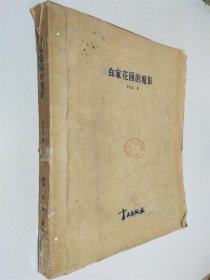 白家花園的魔影 盲文版