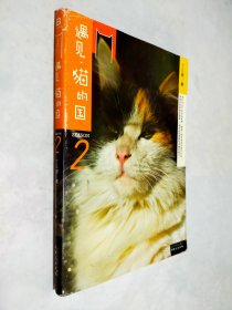 遇见·猫的国 第2季