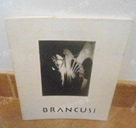 价可议 Brancusi the sculptor as photographer nmmqjmqj