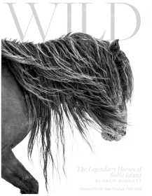 价可议 Wild The Legendary Horses of Sable Island nmmqjmqj