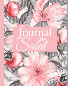 价可议 Journal de Salat nmmqjmqj