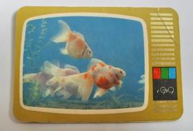1979年 老画片年历片： 电视机 金鱼