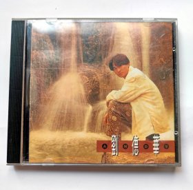 港台歌曲CD光盘 ： 刘德华 ANDY