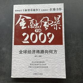 金融风暴下的2009