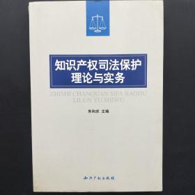 知识产权司法保护理论与实务