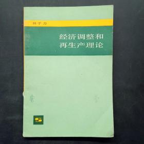 经济调整和再生产理论