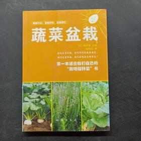 蔬菜盆栽