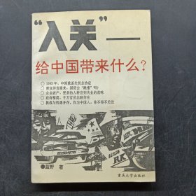 “入关”—给中国带来什么?