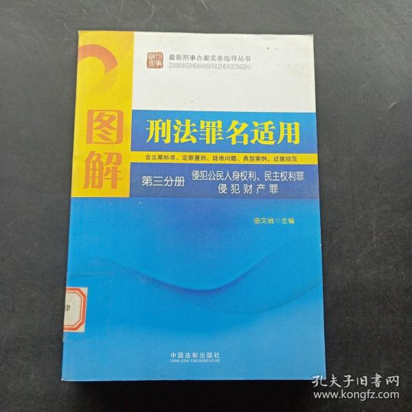 图解刑法罪名适用（第3分册）侵犯公民人身权利、民主权利罪、侵犯财产罪