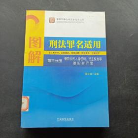 图解刑法罪名适用（第3分册）侵犯公民人身权利、民主权利罪、侵犯财产罪