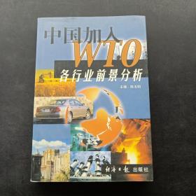 中国加入WTO各行业前景分析