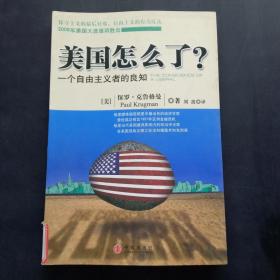 美国怎么了？：一个自由主义者的良知