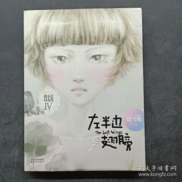 左半边翅膀：我不是坏女生IV