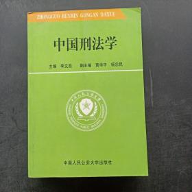 中国刑法学