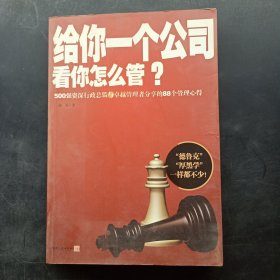 给你一个公司看你怎么管？