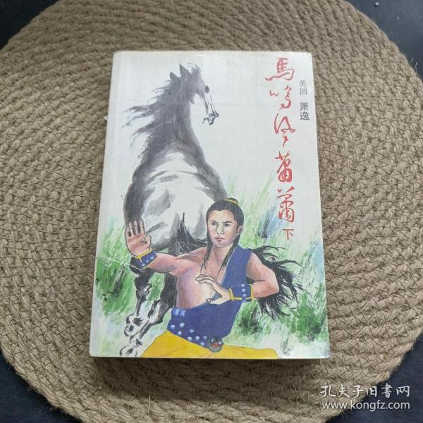 马 鸣风萧萧下册