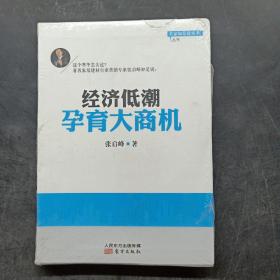 名家如是说寒冬丛书：经济低潮孕育大商机