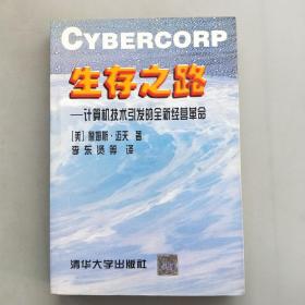 生存之路-計(jì)算機(jī)技術(shù)引發(fā)的全新經(jīng)營(yíng)革命