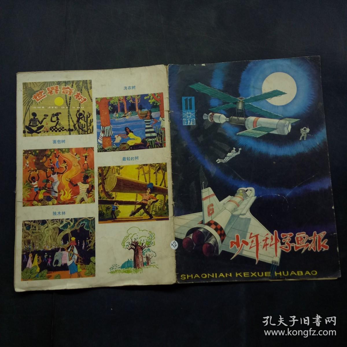 《科学画报》杂志 1979年第11期