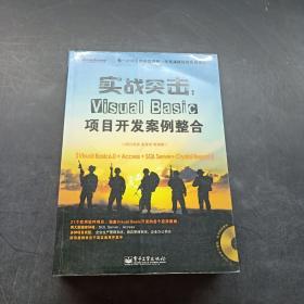 实战突击：Visual Basic项目开发案例整合