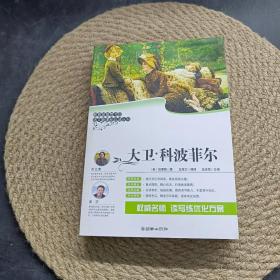 大卫 科波菲尔