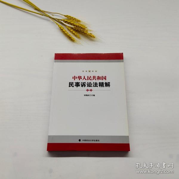 民事诉讼法精解