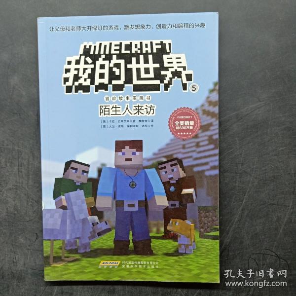 我的世界·冒险故事图画书5.陌生人来访