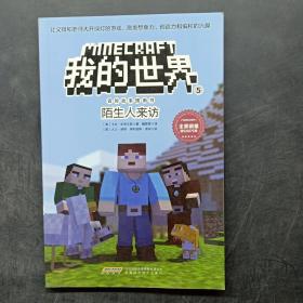 我的世界·冒险故事图画书5.陌生人来访