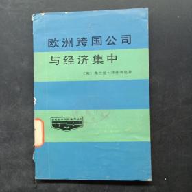 欧洲跨国公司与经济集中