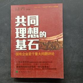 共同理想的基石：国有企业若干重大问题评论