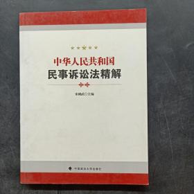 中华人民共和国民事诉讼法精解