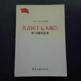 共青团十七大报告学习辅导读本