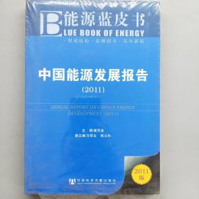 中国能源发展报告