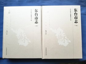 东台市志1988-2005 上下册 大16开 附光盘