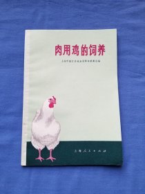 肉用鸡的饲养