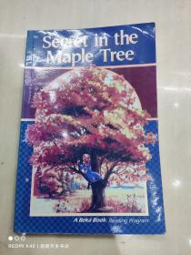 secret in the maple tree枫树上的秘密（英文原版）