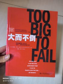 大而不倒：2010年全球政要和首席执行官争相阅读的金融危机启示录