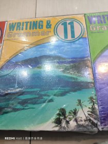 writing ＆ grammar 11（写作和语法 11）