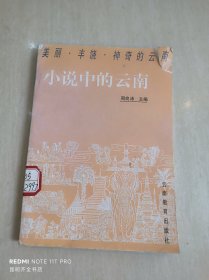 小说中的云南（下册）