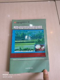 中国参与湄公河次区域禁毒国际合作研究