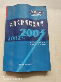 2002~2003云南文化发展蓝皮书