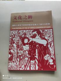 文化之眸 国际人类学与民族学联合会第十六届大会影展