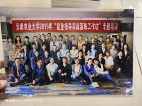 云南农业大学2015年就业指导实战演练工作坊照片