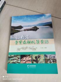 云南省重要森林风景资源/云南自然保护丛书
