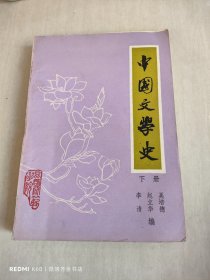 中国文学史 下册